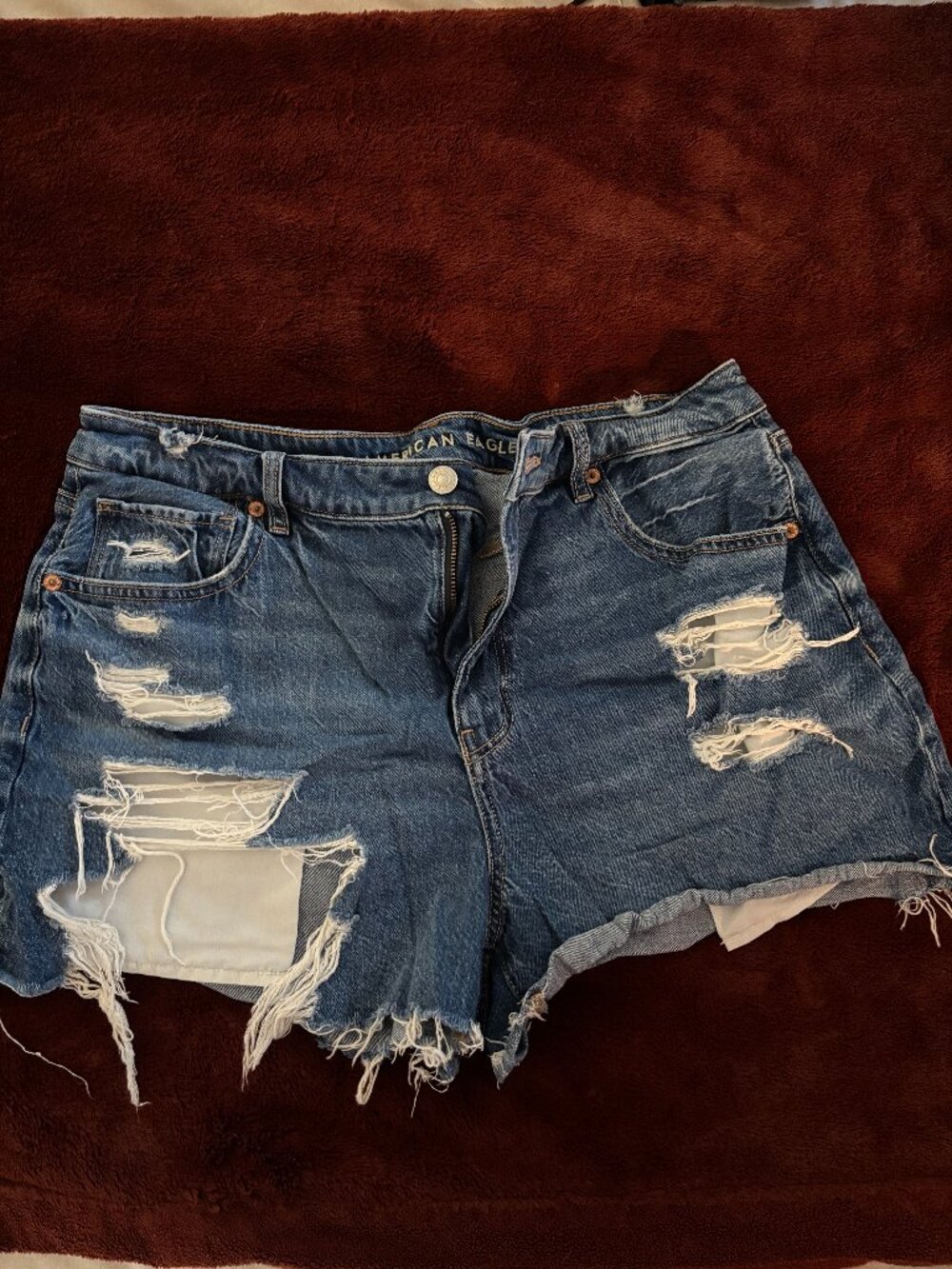 AE Denim Shorts